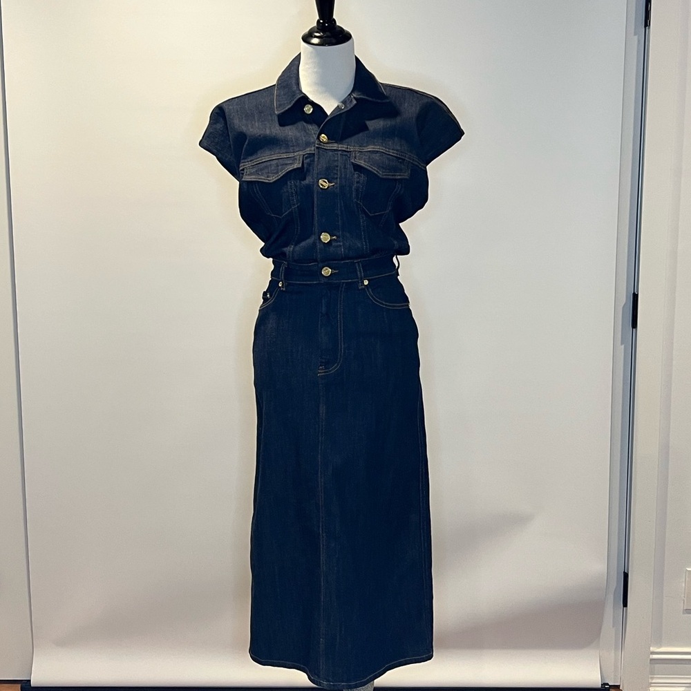 - NWT- GANNI - DENIM MIDI ROSE DRESS Size 2 - Picture 8 of 16